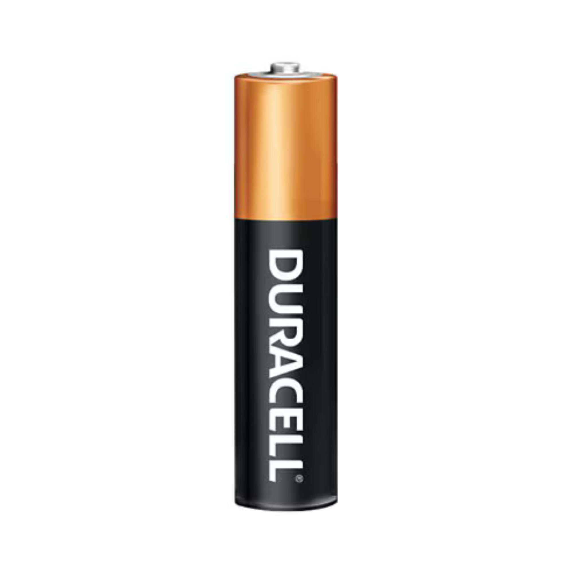 Duracell Coppertop AAA Alkaline Batteries from Columbia Safety